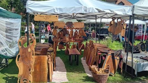 Basaraba Adrian (10)